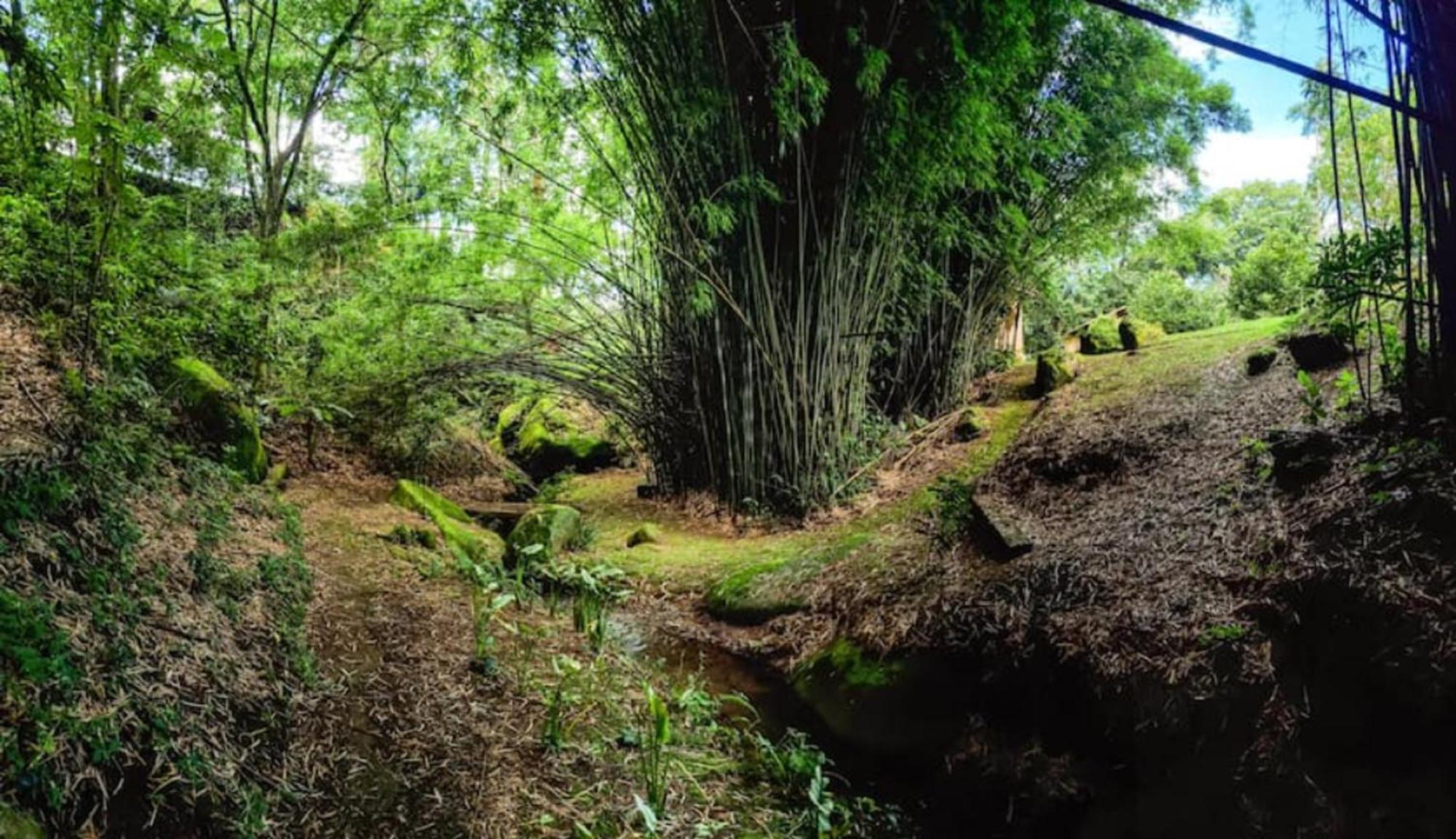 Hospedaria Vida Na Roca São Bento do Sapucaí Exteriér fotografie